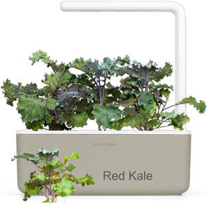 Click Grow Lot de 9 petits pots en plastique minimalistes pour la décoration intérieure et le centre commercial. - Product Image 4