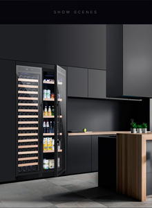 Centre de boissons à deux zones, réfrigérateur à boissons encastrable, cave à vin électronique pour usage commercial et domestique - Product Image 6