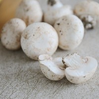 Tranches de Champignons Agaricus Bisporus Congelées, Faible Teneur en Calories, Adaptées au Régime Céto, Fournitures pour Restaurants, Conformes HACCP, Vente en Gros, 1kg