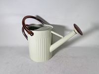 Arrosoir en acier galvanisé Jiangsu 3,8 L, robuste, vintage, pour plantes d'intérieur/extérieur
