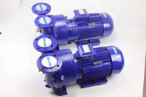 Taşınabilir elektrikli tek kademeli vakum pompası 2hp/4hp DC Motor yüksek/düşük basınçlı özelleştirilebilir santrifüj OEM destek gıda deniz - Product Image 2