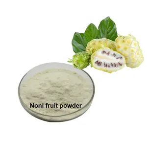Shangmei Gevriesdroogd Fruit Poeder Geconcentreerde Noni Powderr Noni Fruit Poeder