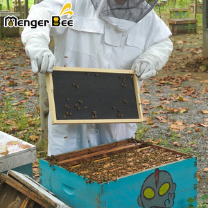 Mỹ kho nhựa Foundation cho khung tổ ong sáp tráng tổ ong Foundation Sheets - Product Image 2