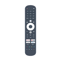 Control Remoto por Voz AN2406193 de Fábrica Hostrong OEM ODM para Televisores Inteligentes LED LCD Horizon IPTV, Compatible con Personalización