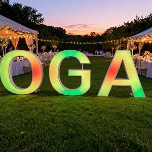 Insegna LED Personalizzata con Logo 3D in Acciaio Inox, Insegne Elettroniche Pubblicitarie da Esterno a Colori Multipli Variabili - Product Image 5