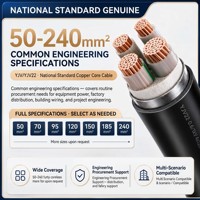 Elektrisches Kabel 2,5mm YJV XLPE 0,6/1kV 3-adrig OFC Kupfer IEC 60502-1 für Gebäude- und Hausverkabelung