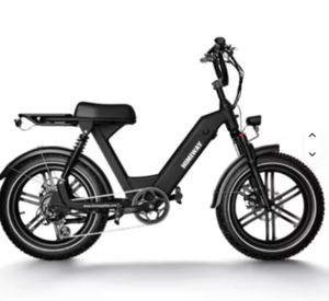 Vélo électrique de style cyclomoteur 750W, conception de scooter longue portée - Product Image 1