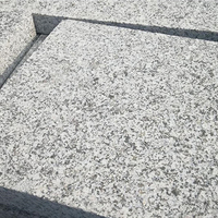 Escaliers et dalles en granit gris G654 modernes à prix direct usine, podium 800x800mm, écologiques, légers, garantie à vie
