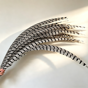 Plumas de cola de faisán Reeves de primera calidad - Perfectas para la fabricación de sombreros, manualidades de atrapasueños y accesorios de disfraces de teatro - Product Image 3