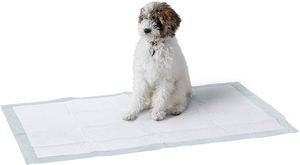 Tapis pour animaux de compagnie extra large super absorbant et imperméable 60x90cm pour grands chiens, idéal pour l'apprentissage de la propreté des chiots, avec SAP japonais - Product Image 6