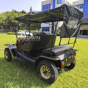 Voiture de tourisme classique respectueuse de l'environnement, à faible consommation d'énergie, véhicule électrique pour les excursions dans les zones touristiques, utilisation commerciale - Product Image 6