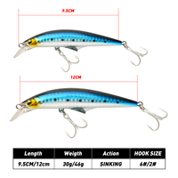 Leurre dur imprimé en acier pour pêche en mer, type Minnow coulant à longue portée, 30g/46g, pour la pêche au riz, la traîne avec hameçons, pour eau salée, Seabass, Brochet