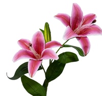 Bunga Lily Sutra Buatan Premium Realistis Bunga Palsu untuk Dekorasi Pernikahan, Latar Belakang Pesta, Natal, Hari Valentine, dan Rumah