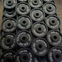 Disques de musculation intégrés en fonte noire à quatre nervures, à gros trous, peints, pour usage domestique