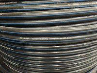 Tuyau en PEHD 20mm 25mm 32mm PN10 PN16 PE100 pour l'alimentation en eau - Prix usine
