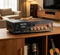 Module amplificateur DSP Type C TF AUX pour casque, guitare, micro, TWS, karaoké et enregistrement