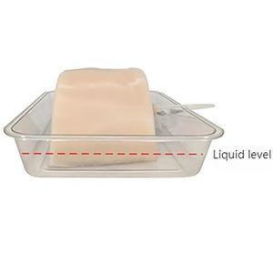 Modèle d'Enseignement Médical - Modèle de Formation à la Ponction Hépatique Guidée par Échographie - Product Image 3