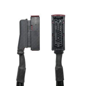 Harnais de câblage ECU personnalisé pour véhicule agricole, 1 mètre, étanche IP65, âme en cuivre, isolation PVC, connecteur automobile - Product Image 4