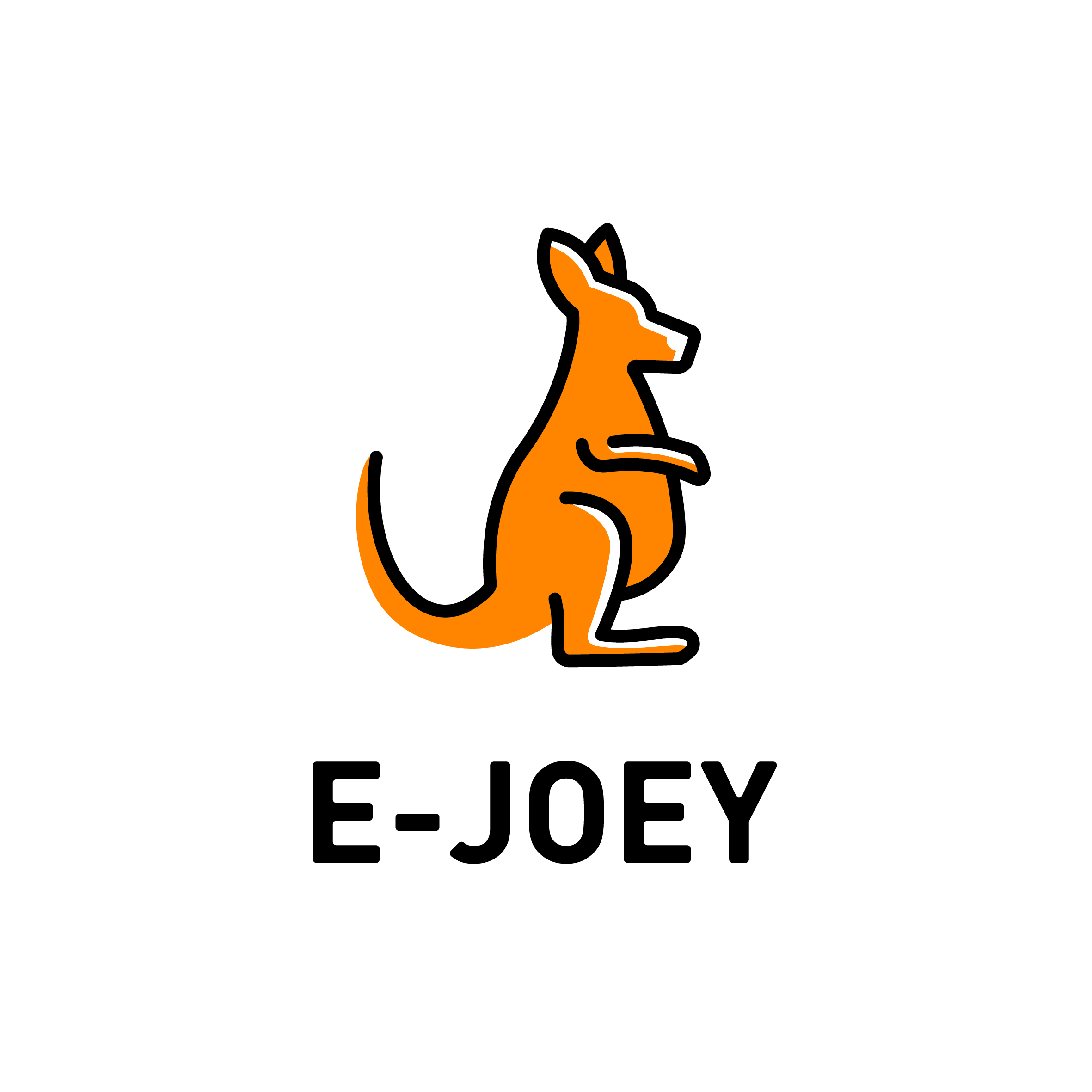 Changsha E-Joey Technology Co., Ltd. logo