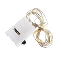 Lampu LED String 10-30 Chip LED Bertenaga Baterai Kancing LR44 4.8V Bersertifikasi EU CE Lampu Dekoratif untuk Bunga Kue Hadiah