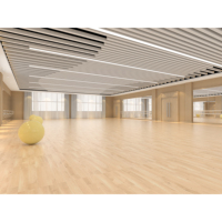 Panneaux Acoustiques Personnalisés pour Salles d'Activités Scolaires : Matériaux d'Isolation Sonore pour Salles de Classe et Bibliothèques (Panneaux Muraux et Plafonds)