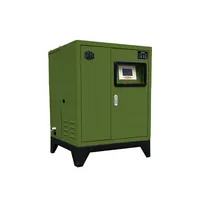 Système de brumisation électrique haute pression en acier inoxydable, capacité 20L, pour jardin, villa, terrasse, refroidissement et lutte anti-moustiques