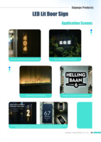 Panneau publicitaire LED en acier inoxydable gravé en 3D personnalisé avec prise étanche IP65, alimentation par câble, options multicolores pour la publicité extérieure