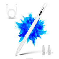 IPad dijital güç ekran için aktif manyetik Stylus kalem Palm ret ucuz aktif iğneli kalem