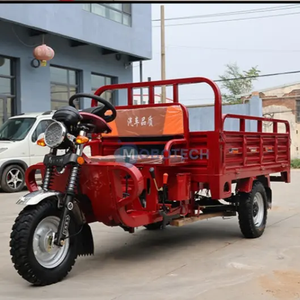 Motocicleta de tres ruedas, volcado de combustible de gasolina, carga refrigerada por agua, se puede registrar, tipo placa, triciclo asistido - Product Image 2