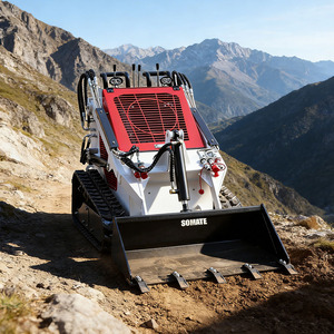 Minicargadora Diesel Somate con Motor EPA, Tipo Oruga, Capacidad de Cucharón de 0.2m, Peso de 950kg - Product Image 5