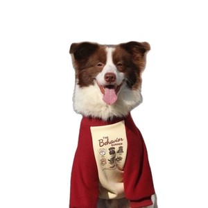 Felpe con stampa digitale autunno inverno in pile di poliestere per <span class=keywords><strong>cani</strong></span> di grandi dimensioni eco-friendly per Golden Retriever Border Collie - Product Image 5