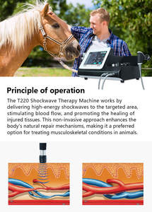 दर्द राहत के लिए rf तकनीक के साथ t220 स्मार्ट थेरेपी उपकरण - Product Image 5