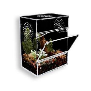 <span class=keywords><strong>Acryl</strong></span> Rechteckiger Reptilien käfig <span class=keywords><strong>Terrarium</strong></span> Haustier Produkt gehäuse für Insekten Chamäleon Eidechse Springen Spinne-für den Sommer - Product Image 2