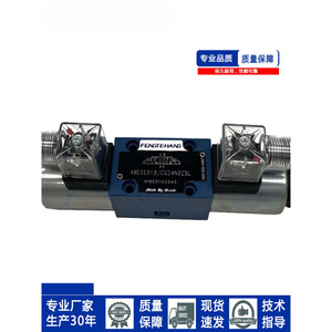 Vanne de commande directionnelle à solénoïde Fengtehang 4WE10E31B CG24N9Z5L Vanne hydraulique - Product Image 2