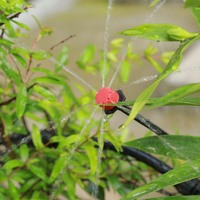 Goutteur à 8 trous avec capuchon rouge pour micro-aspersion agricole