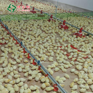 Hot Bán Gà Nhà Gia Cầm Nông Nghiệp Tự Động Uống & Cho Ăn Chăn Nuôi Động Vật & Gia Cầm Chăn Nuôi Thiết Bị - Product Image 4