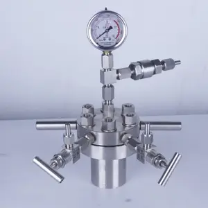 Mini Reactor de Hidrodenación de Acero Inoxidable de 50/100 ml, <span class=keywords><strong>Autoclave</strong></span> de Laboratorio Pequeño, Simple, de Alta Temperatura y Alta Presión - Product Image 3
