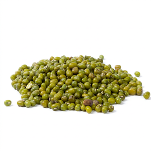 Fresh Crop Indian <b>Green</b> Moong <b>Beans</b> Premium Natural Whole FitTree International 24 Months Bulk for Global Agricultural Supply - Product Image 1