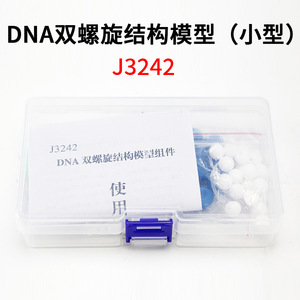 Modelo de ensamblaje de componentes de la estructura de la doble hélice del ADN; modelo de estructura del ADN; modelo genético; pequeño experimento biológico. - Product Image 5