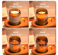Lampe à fleur en verre chauffe-bougie chauffe-bougie Aroma light melt chauffe-bougies Timing intérieur brûleur parfumé GU10 ampoule halogène