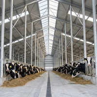 Proveedor de Alta Calidad de Estructuras de Acero Prefabricadas para Establos de Vacas Lecheras, Estructuras de Acero para Granjas, Establos para Ganado