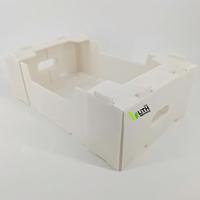 Caisse d'emballage pour l'exportation de fruits et légumes, en plastique MFPP Coroplast, robuste, écologique, recyclable, imperméable et réutilisable