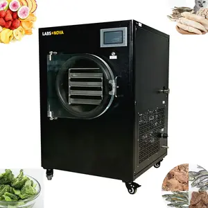 Máquina liofilizadora de café por deshidratación por congelación, horno de secado, liofilizador, máquina de liofilización al vacío de frutas