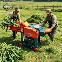Broyeur d'herbe commercial 3KW 3000KG/H, coupe-paille robuste avec lames en acier pour la transformation des aliments pour animaux