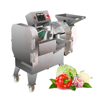 Multifunctionele automatische snijmachine, commerciële elektrische aardappel-, wortel- en gembersnijder, groentesnijder, dubbele uitvoering