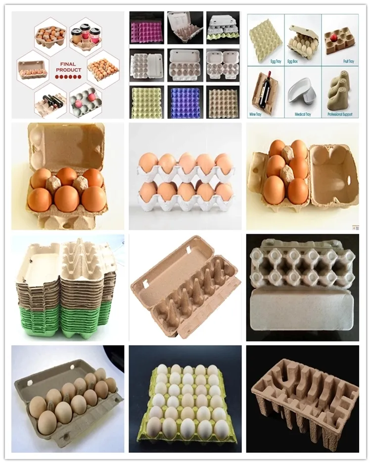 Fuyuan Harga Murah mesin pembuat baki telur otomatis bisnis kecil mesin pencetak telur lini produksi