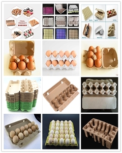 Fuyuan giá rẻ khay trứng làm máy tự động kinh doanh nhỏ khay trứng máy Dây chuyền sản xuất - Product Image 5