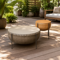 Nordique Moderne Italien Simple Palm Table Basse Ensemble Rotin Métal Verre Sectionnel Style pour La Maison Hôtel Villa Appartement Salon