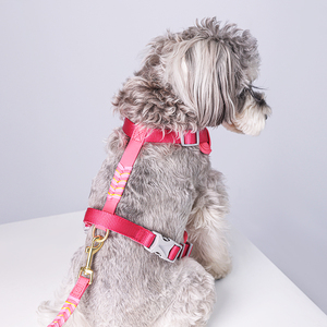 PAWQOOF <b>Pink</b> Nylon <b>Dog</b> <b>Harness</b> Adjustable Reflective Small Breed Simple Style for <b>Dogs</b> - Product Image 2