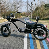 60V 1000W Lityum Pil Disk Frenli Şişman Lastikli Orta Motorlu Ön LED Işıklı Yüksek Sırtlı OEM ODM Elektrikli Chopper Bisiklet (Yetişkinler İçin)